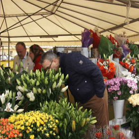 Contribuabilii din domeniile comerț cu flori și HoReCa vor fi monitorizați de SFS în perioada 7-8 martie