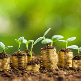 Subvenționarea primelor de asigurare în agricultură: cererile pot fi depuse