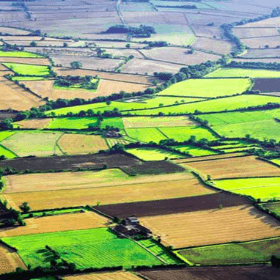 Около 70% площади Молдовы составляют сельскохозяйственные земли 