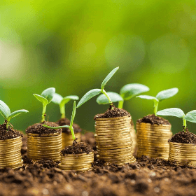 Reabilitarea sectorului zootehnic, fortificarea serviciilor de medicină veterinară și sporirea accesului la servicii de irigare