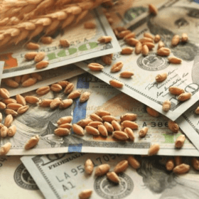 Peste 452 mil.lei au fost debursate pe conturile agricultorilor