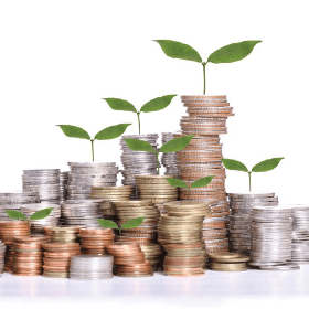 Condițiile specifice de subvenționare în avans din Fondul național de dezvoltare a agriculturii și mediului rural 