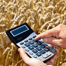 Ce presupune subvenționarea complementară din FNDAMR