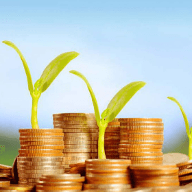 Modificările la Programul de rambursare a TVA pentru producătorii agricoli, publicate