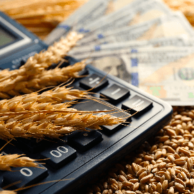 Субсидирование инвестиций из Нацфонда развития сельского хозяйства и сельской местности