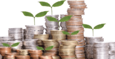 Subvenționarea în avans: a fost lansat apelul I de depunere a cererilor