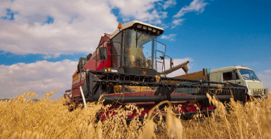  Еще одна категория сельхозпроизводителей получит помощь в виде дизтоплива