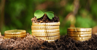 Guvernul a aprobat procedura de introducere/excludere a subiecților subvenționării în/din Lista de interdicție