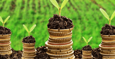 Perioada pentru care producătorii agricoli pot beneficia de rambursarea TVA a fost extinsă