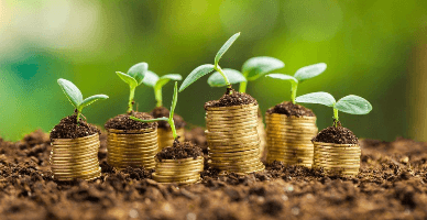 Unele aspecte fiscale privind obținerea subvențiilor pentru procurarea mijloacelor fixe