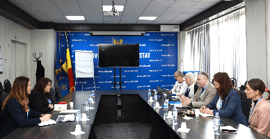 Noua strategie a SFS, discutată cu experții misiunii de asistență a Agenției Fiscale Suedeze