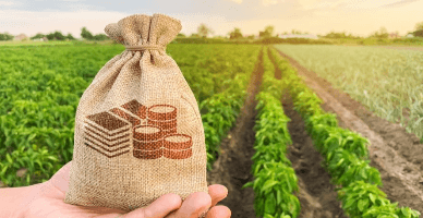 Agricultorii vor fi susținuți prin facilitarea accesului la credite garantate de stat