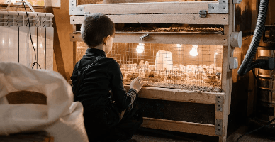 Продажа сельхозпродукции со склада производителя и уведомление в сфере торговли