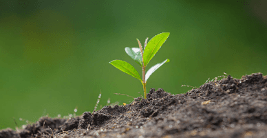 Codul subsolului în redacție nouă va intra în vigoare la expirarea a 18 luni de la data publicării