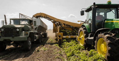 Determinarea capacității normale de producție, divizarea CIP în variabile și constante și repartizarea acestora în avicultură