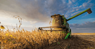 Volumul producției globale agricole în I semestru 2024