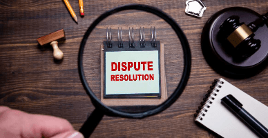 Consiliul de soluționare a disputelor în cadrul SFS – o nouă componență