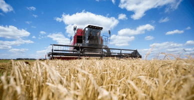 Fermierii ale căror culturi agricole au fost afectate pot beneficia de suspendarea obligațiilor de plată față de creditori. Legea a intrat în vigoare