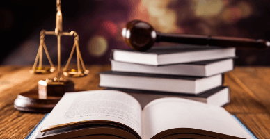 Опубликование и вступление в силу  нормативных актов: правовые аспекты