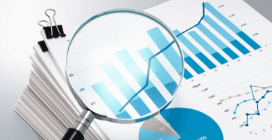 Conținutul și modul de întocmire a raportului conducerii în Asociațiile de Economii și Împrumut - model (continuare)