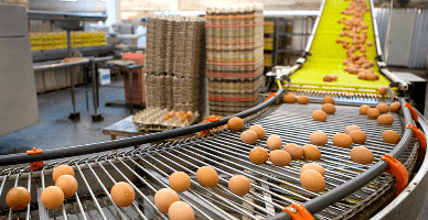 Particularități tehnologice ce determină formarea costurilor de producție în avicultură