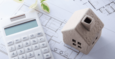 Scutirea administrației ZEL de plata impozitului pe bunurile imobiliare. Reflectarea în Forma BIJ17