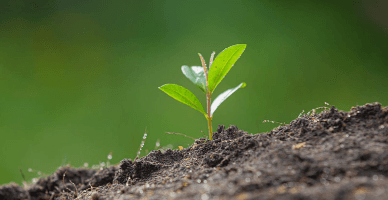 Обязаны ли физические лица при обмене участками сельскохозяйственной земли идентичной стоимости и качества уплачивать подоходный налог?