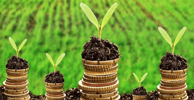 Cererile pentru mai multe forme de subvenționare în agricultură pot fi depuse până la 19 decembrie