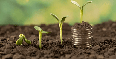 Metodologia de calcul al pierderilor cauzate de trecerea terenurilor cu destinație agricolă la o altă categorie va fi aprobată prin lege organică