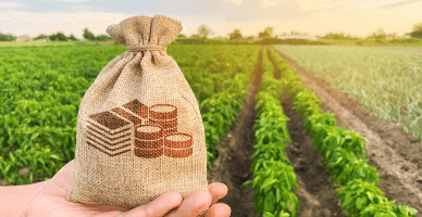 Ставка субсидирования страховых премий в сельском хозяйстве сохранится на уровне 70%