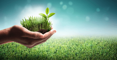 POLMED: Ministerul Finanțelor anunță despre inițierea modificării dării de seamă