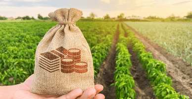 Măsurile de sprijin pentru fermieri în legătură cu seceta din anul 2024: unele aspecte fiscale 