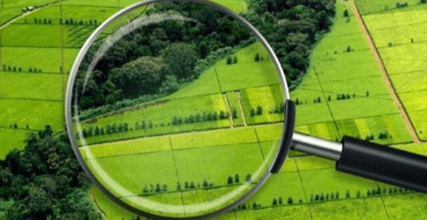 Contractele de vânzare-cumpărare a unor terenuri agricole nu se vor autentifica notarial