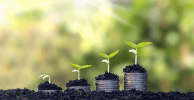  Subvenții în avans pentru proiectele investiționale de îmbunătățiri funciare: apelul a fost lansat