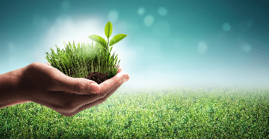 Darea de seamă privind taxa pentru poluarea mediului: clarificări privind prezentarea