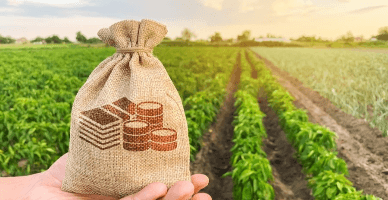 Механизм возмещения НДС для сельскохозяйственных производителей