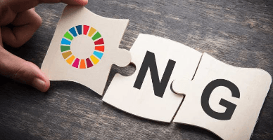 Некоммерческие организации: правила внутреннего распорядка и штатное расписание