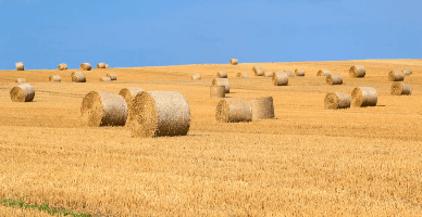 Din anul 2026 în Moldova vor fi create camere agricole