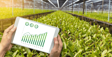 O nouă abordare în subvenționarea agriculturii: identificarea necesităților sectoriale și plăți directe bazate pe performanță