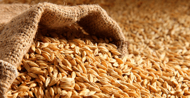 Естественная убыль сельскохозяйственной продукции (зерна)