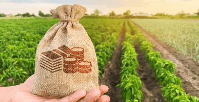 Actualizarea Regulamentului privind rambursarea TVA pentru producătorii agricoli