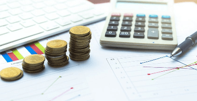 Contabilitatea costurilor de creștere a tineretului avicol