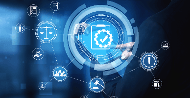  Segmentele economiei naționale prioritare pentru monitorizare prin prisma Programului de conformare pentru anul 2025