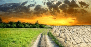 Taxa pentru poluarea mediului în cazul exportului de ambalaj