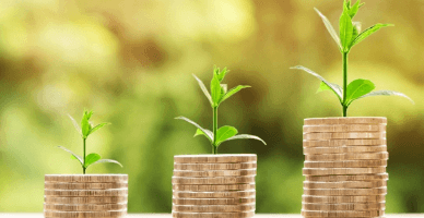 Din 1 octombrie 2025 pot fi depuse cereri pentru subvenționarea unor măsuri în agricultură