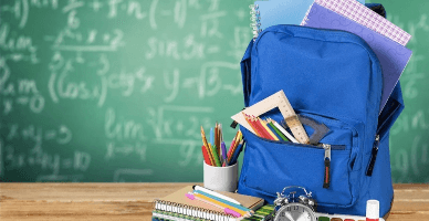 Acordarea suportului unic pentru elevi în cazul formei de protecție custodia