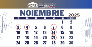 Graficul finanțării prestațiilor sociale pentru luna noiembrie