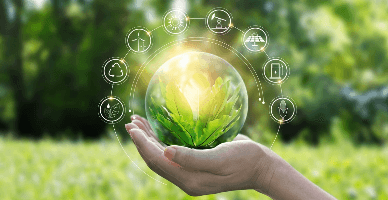 Cine va stabili modalitatea de plată a serviciului de salubrizare?