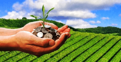 Obligația pensionarului de a declara veniturile obținute din arenda terenurilor agricole