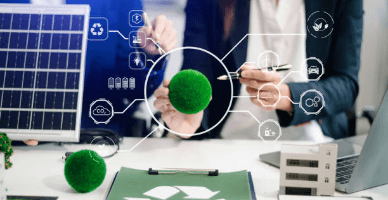 Rezidentul zonei economice libere și Darea de seamă  POLMED